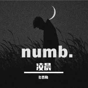 多普勒_dPmx - 凌晨 2020demo