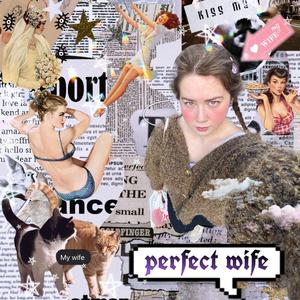 perfect wife