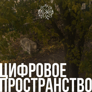 Цифровое пространство