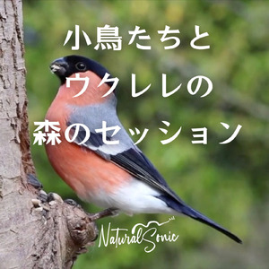 The Sparrow’s Dance