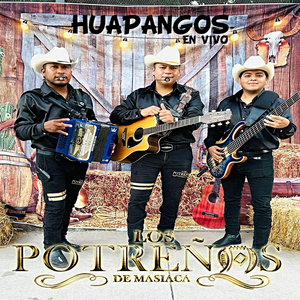 Supe Quererte (En Vivo)