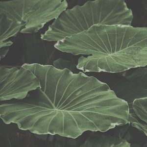 柔和的水疗护理时刻