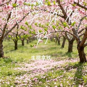 其实你很好