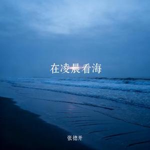 在凌晨看海