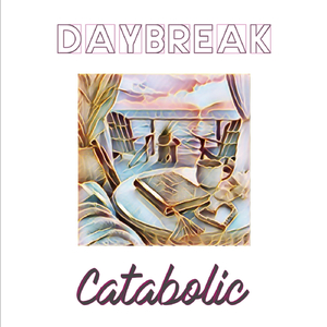 Daybreak (Hold on to the Moment Mix)