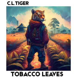 Tabacco Leaves