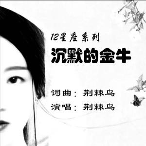 沉默的金牛aiaiai&fever2021mix