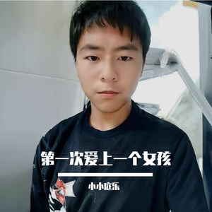 第一次爱上一个女孩 伴奏