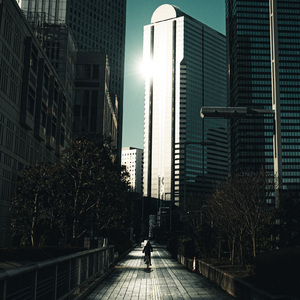 フレンチブルドッグ