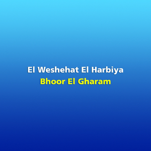 Dar Elwalyf