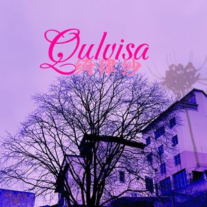 Qulvisa