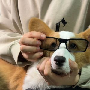 十月十七的晚风