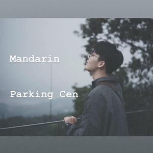 在另一座城市想念你