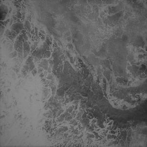 蓝鲸（prod.BFCat）