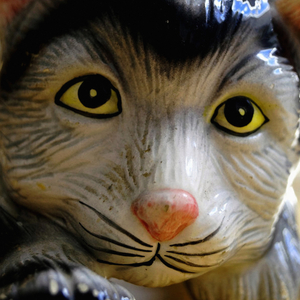 La spatialité mentale