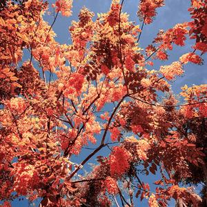 The world is different because of you