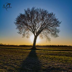 Erase Yourself (Acoustic Version)