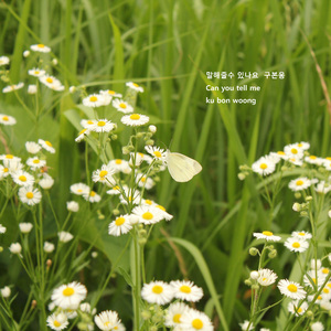 말해줄수 있나요