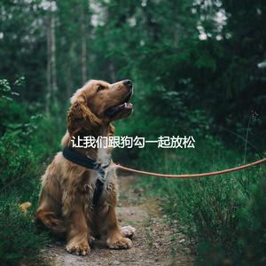 Tremendous Calming Pets