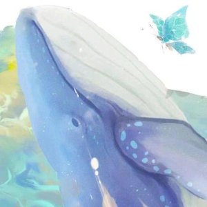 蝴蝶与鲸鱼