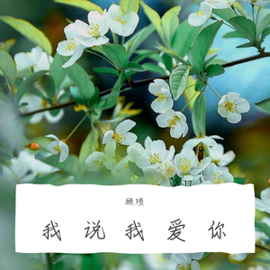 我说（翻自 黄义达）