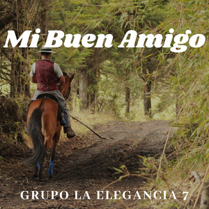 Mi Buen Amigo