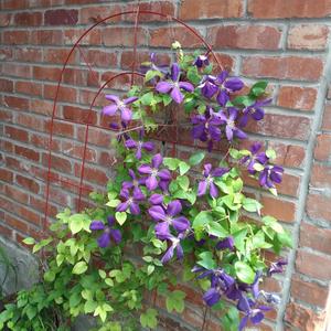 Не ти харесва. Ne ti haresva. You don't like it