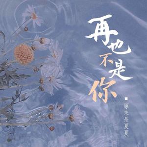 再也不是你 (伴奏)