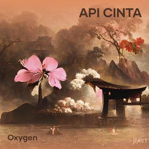 API CINTA