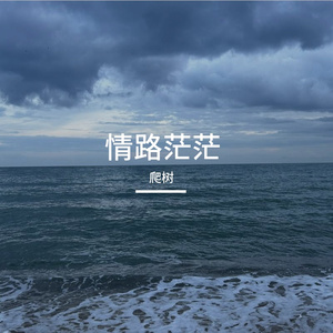 情路茫茫（cover：爬树）