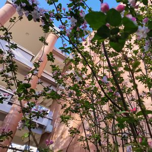 在春风和煦的一个下午