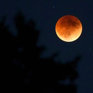 微生物的电子迷幻之旅