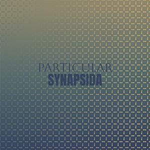 Pregnenolone Soundly