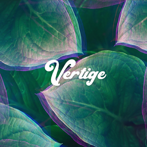 Vertige (feat. Wraz.)