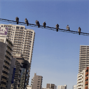 酒が飲みたい夜は