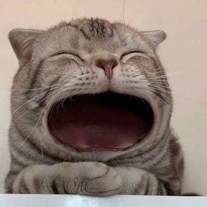 样(young)-(Cover TFBOYS)