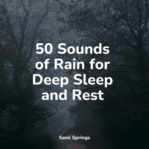 Bird Calls, Field, Mid Day