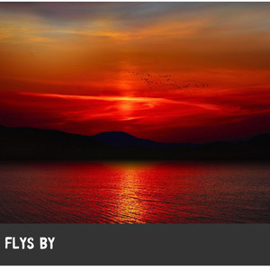 FLYS BY (Radio Edit)