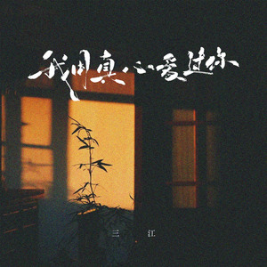 我用真心爱过你 (吉他版)