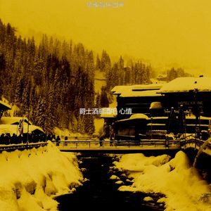 柔和的晚餐派对时刻