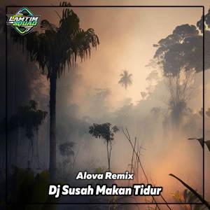 Dj Susah Makan Tidur Slow Remix (Dj Version)