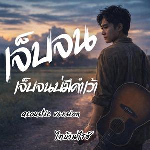 เจ็บจนบ่มีคำเว้า (Acoustic Version)
