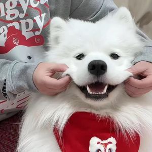 爱错cover 王力宏