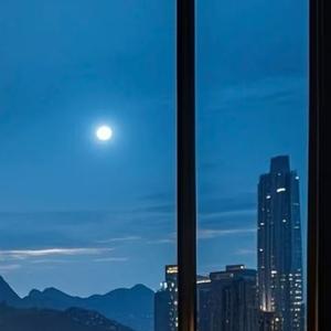 生命的星光之旅(1)