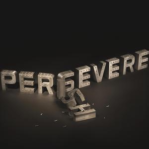 Perservere