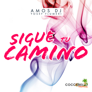Sigue Tu Camino