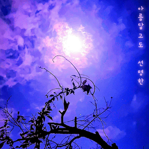 아름답고도 선명한 (inst.)