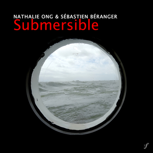 Submersible