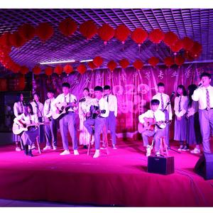 玫瑰【指弹改编】（翻自 贰佰）