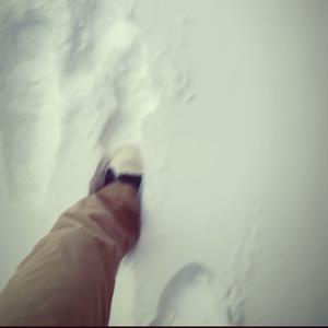 最爱的人伤我最深